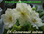 ЕК-Солнечный зайчик