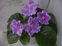 It's Raining (Архипов)